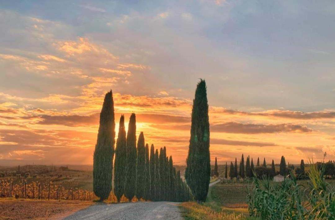 Casa Guardiavigna In Chianti Apartment San Gusme Bagian luar foto